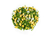 MIX BROCOLI CONGELADO 1KG