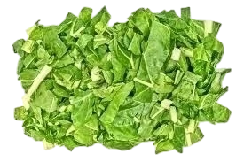 ACELGA SANITIZADA Y CORTADA 5KG - comprar online