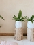 Maceta HI PLANTA 22x22 - comprar online