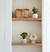 Planta Suculenta - comprar online