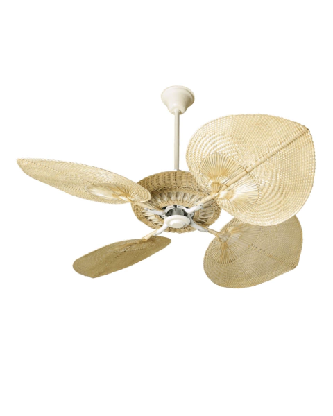 ventilador casablanca natural - buy online