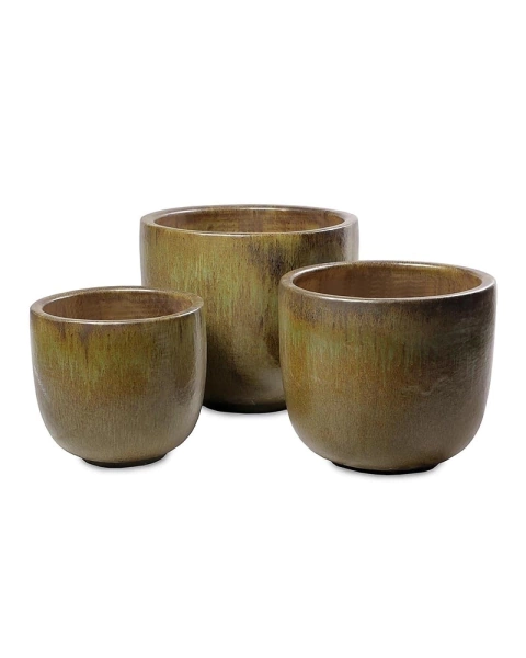 Maceteros Papua Safari