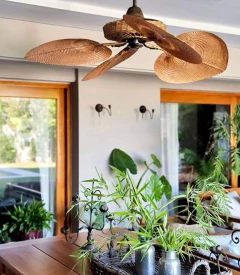 Imagen de ventilador casablanca style color miel