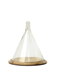 Tajim Raipur en internet