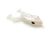 ISCAS FROGS PADDLE FROG 9,5CM - MANJUBA 2UN na internet