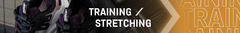 Banner de la categoría TRAINING/ STRETCHING