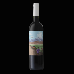 Desfachatados Cabernet Franc x 750 ml