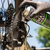 Desengrasante Cadena Bicicleta Muc-off Chain Cleaner 400ml - comprar online