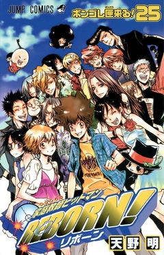 Katekyo Hitman Reborn! Vol.25 『Encomenda』