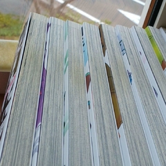 Imagem do Mirai Nikki Vol.1 ao 12 (Completo) 『Encomenda』