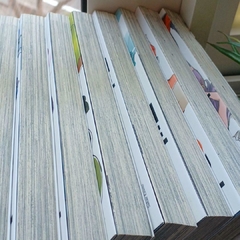 Mirai Nikki Vol.1 ao 12 (Completo) 『Encomenda』