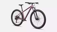 SPECIALIZED ROCKHOPPER EXPERT QTZMET/WHT R 29 - comprar online