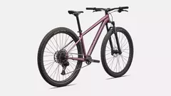 SPECIALIZED ROCKHOPPER EXPERT QTZMET/WHT R 29 en internet