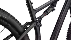 SPECIALIZED EPIC EVO EXPERT BRA CARB/GLDGSTPRL/PRL - comprar online
