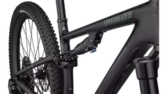 SPECIALIZED EPIC EVO EXPERT BRA CARB/GLDGSTPRL/PRL