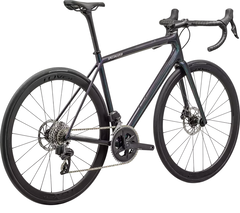 SPECIALIZED AETHOS EXPERT BRA CARB/CMLNSPN/CLY - Charly Bikes