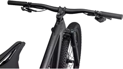 Imagen de SPECIALIZED EPIC EVO EXPERT BRA CARB/GLDGSTPRL/PRL