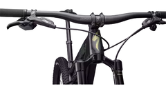 SPECIALIZED EPIC EVO EXPERT BRA CARB/GLDGSTPRL/PRL - Charly Bikes
