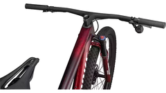 SPECIALIZED EPIC WC SW BRA REDTNT/FLKSIL/GRNT - tienda online