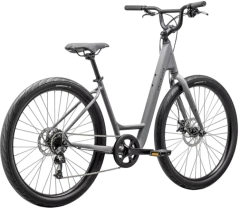 SPECIALIZED ROLL 2.0 LOW ENTRY CLGRY/SMK - comprar online