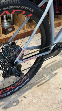 SPECIALIZED EPIC HT SW CARBON SRAM AXS 29 USADA - AÑO 2020 - TALLE L - CONSULTAR PRECIO - tienda online