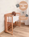 EVOLUTIVA 5 EN 1 LENGA - comprar online
