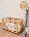 EVOLUTIVA 3 EN 1 GUATAMBU - comprar online