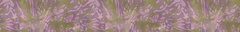 Banner de la categoría Buzos - Camperas