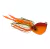 ISCA TAI RUBBER EXTREME 60G - loja online
