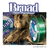 LINHA OWNER BROAD 0,33MM 300M - Rei da Pesca