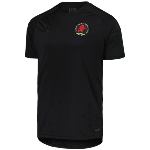 Camisa Aston Villa Aniversário - comprar online