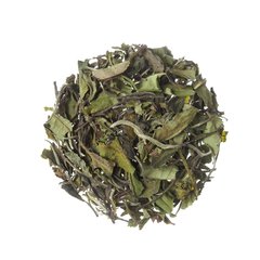 Pai Mu Tan