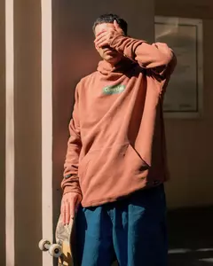 Hoodie HalfTone Marron en internet