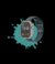 SmartWatches