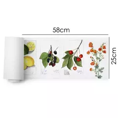 DTF GLITTER 58x25 - 20 - comprar online