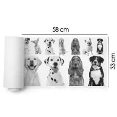 DTF GLITTER 58x33 - 57 - comprar online