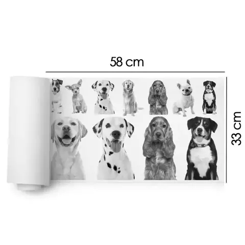 DTF GLITTER 58x33 - 57 - comprar online