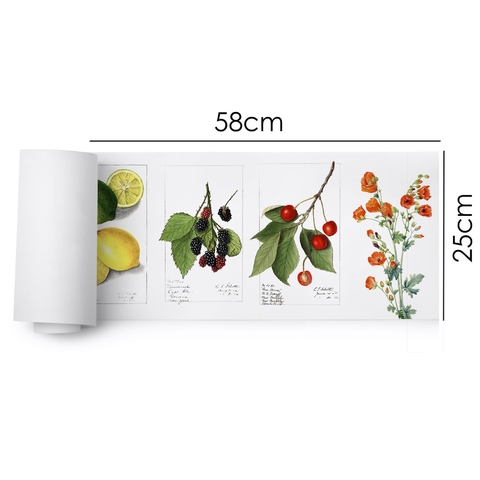 dtf 58x25 - 20