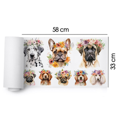 dtf 58x33 - 22
