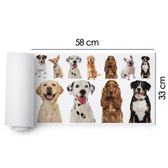 dtf 58x33 - 53 - L - comprar online