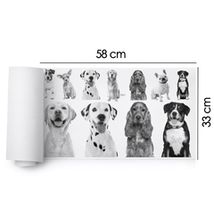 dtf 58x33 - 57 - L - comprar online