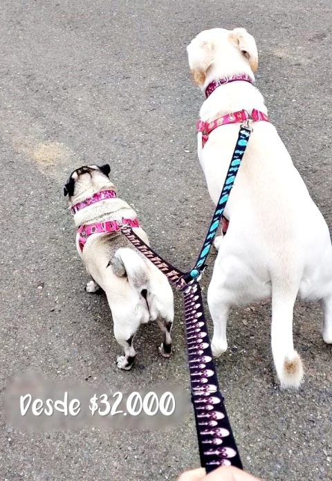 Correa doble o triple - comprar online