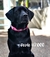 Collar personalizable - comprar online