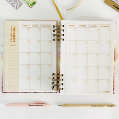 Agenda atemporal soles en internet