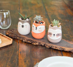 Contenedor ceramica chico perezoso - comprar online