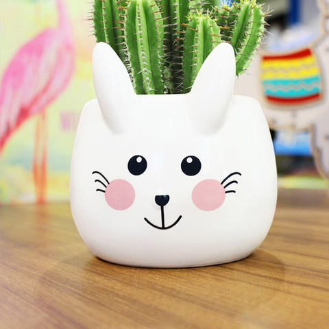 Maceta conejo feliz