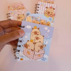 set mini libreta capibara con señaladores