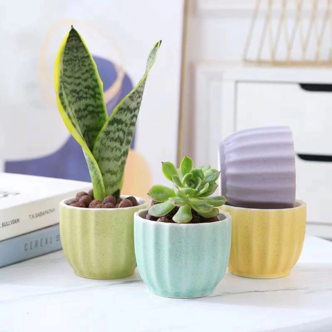 Mini maceta cerámica pastel