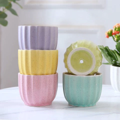 Mini maceta cerámica pastel - comprar online