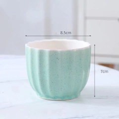 Mini maceta cerámica pastel en internet